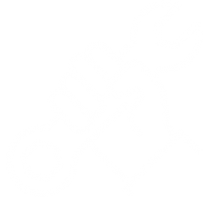 dịch vụ bảo hành bảo trì